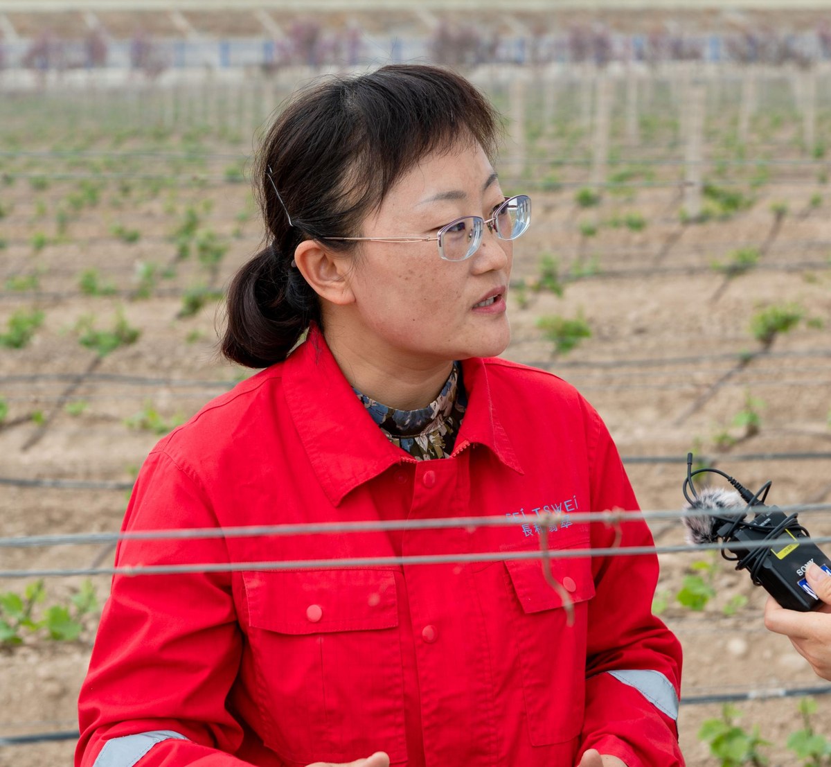 Emerging winemaker Zhou Yeli